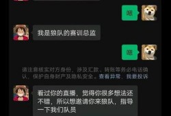 王者狼队最新爆料消息,神秘英雄即将登场，游戏格局再掀风云