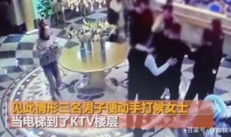 越南爆料公社事件视频,揭秘网络舆论背后的真相与争议